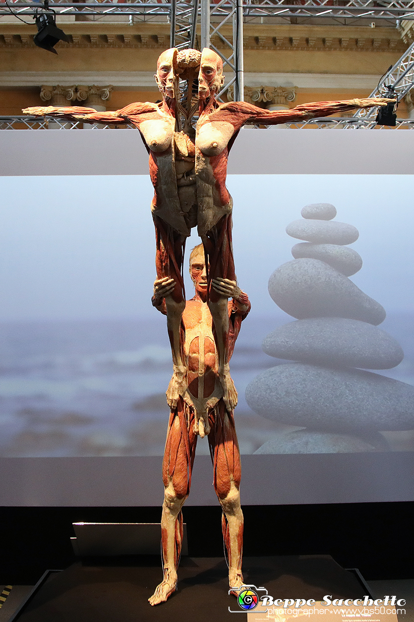 VBS_2673 - Mostra Body Worlds.jpg